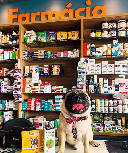 Pet na farmácia da Viana's