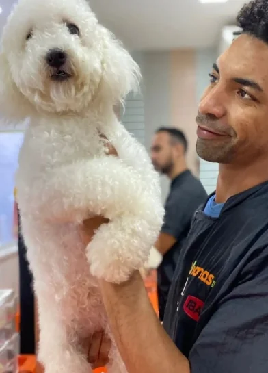 Profissional cuidando de um pet