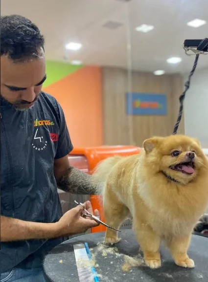 Banho e tosa na Viana's Pet Shop